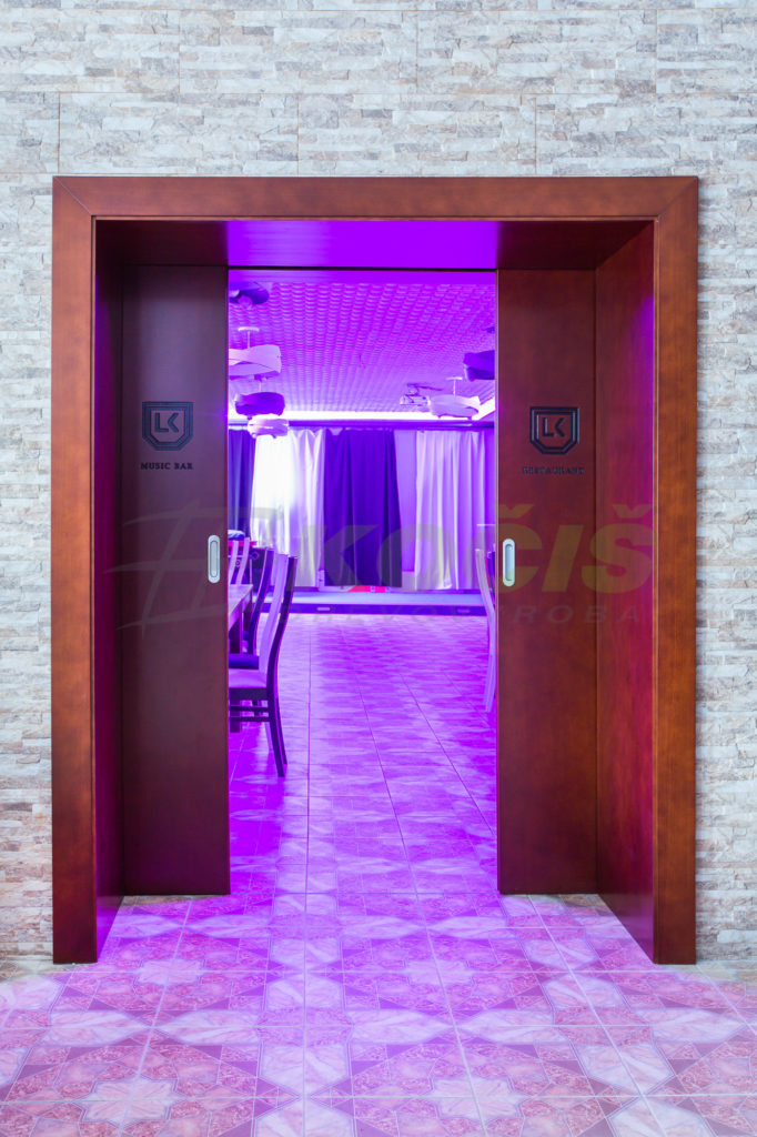 modern interior doors